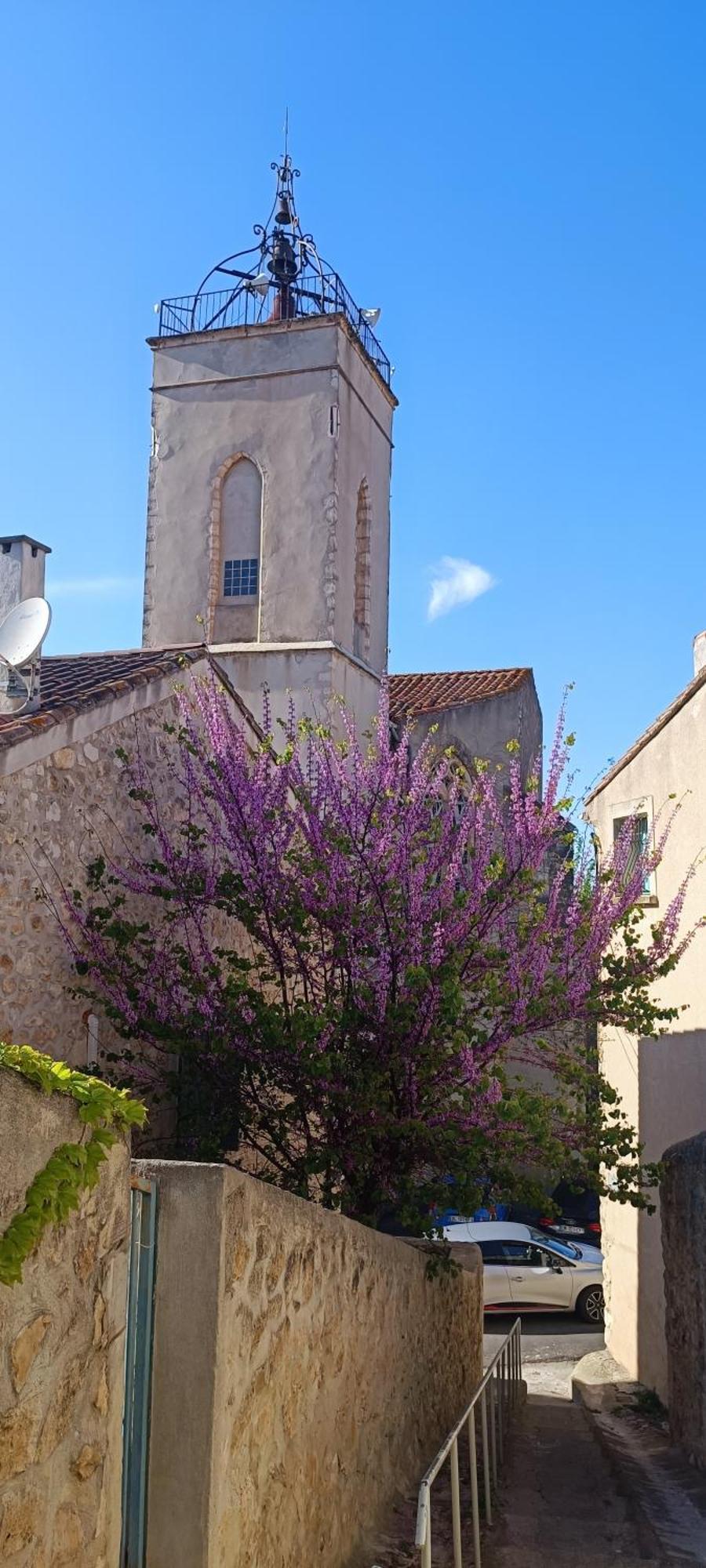 Gite La Capelle Roquefort Des Corbieres Sigean Narbonne Aude Exteriér fotografie